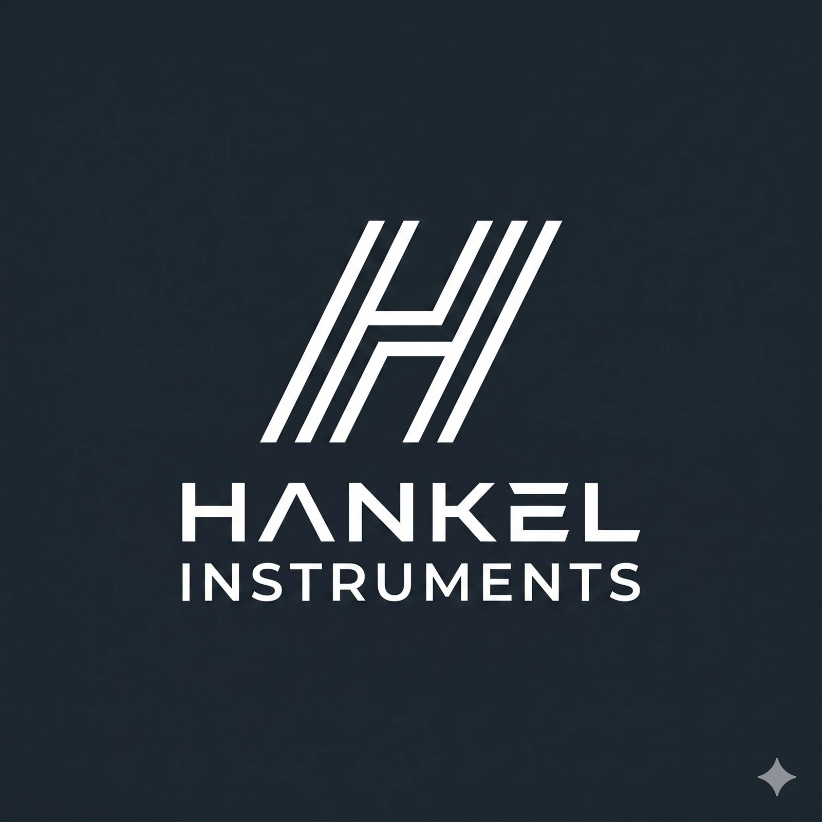 Hankel Instruments Logo
